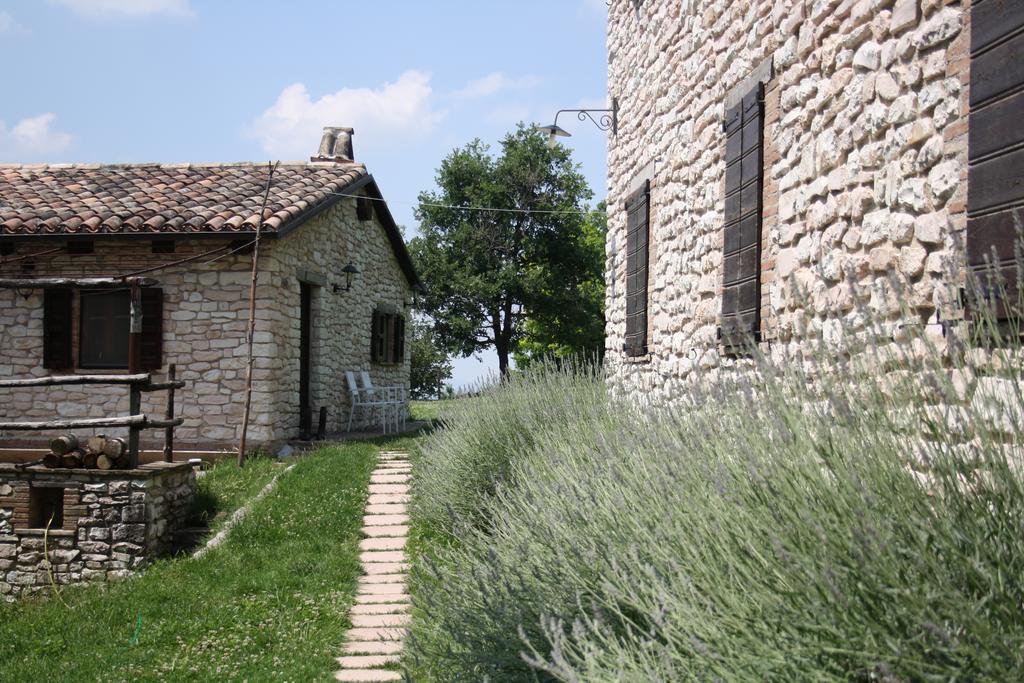 Agriturismo Valdifiori Sassoferrato Екстер'єр фото